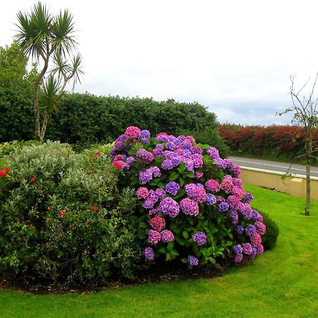 Cill Bhreac House B&B Dingle Exterior foto