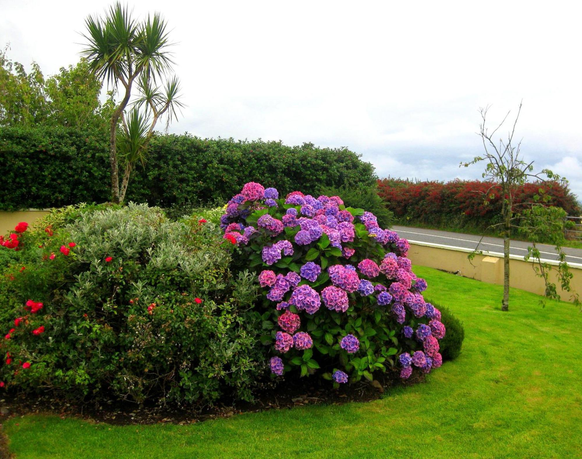 Cill Bhreac House B&B Dingle Exterior foto